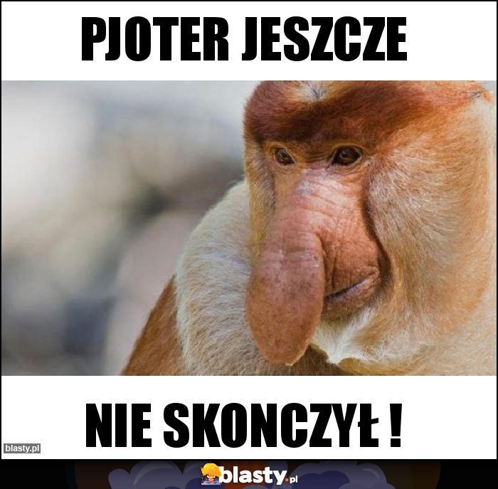 Pjoter jeszcze Pjoter jeszcze