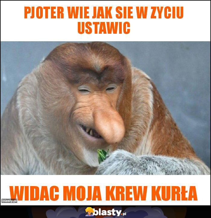 Pjoter wie jak sie w zyciu ustawic Pjoter wie jak sie w zyciu ustawic