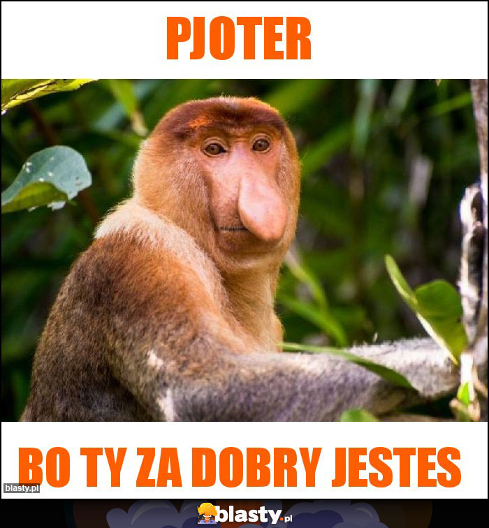 PJOTER