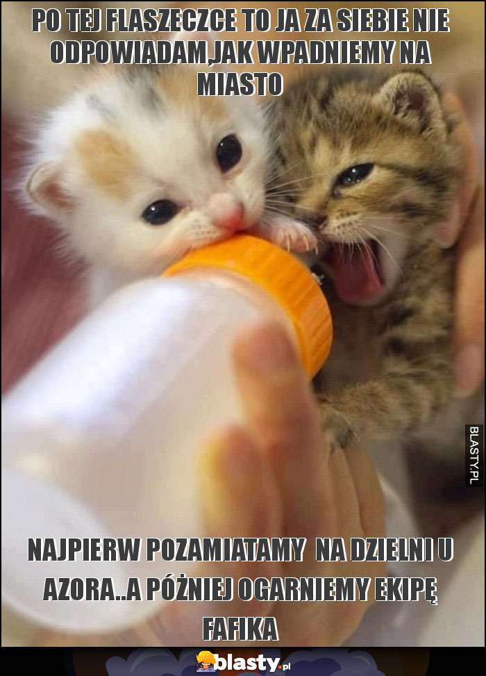 PO TEJ FLASZECZCE TO JA ZA SIEBIE NIE ODPOWIADAM,JAK WPADNIEMY NA MIASTO PO TEJ FLASZECZCE TO JA ZA SIEBIE NIE ODPOWIADAM,JAK WPADNIEMY NA MIASTO