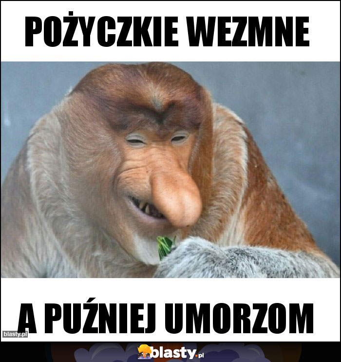 POŻYCZKIE WEZMNE POŻYCZKIE WEZMNE