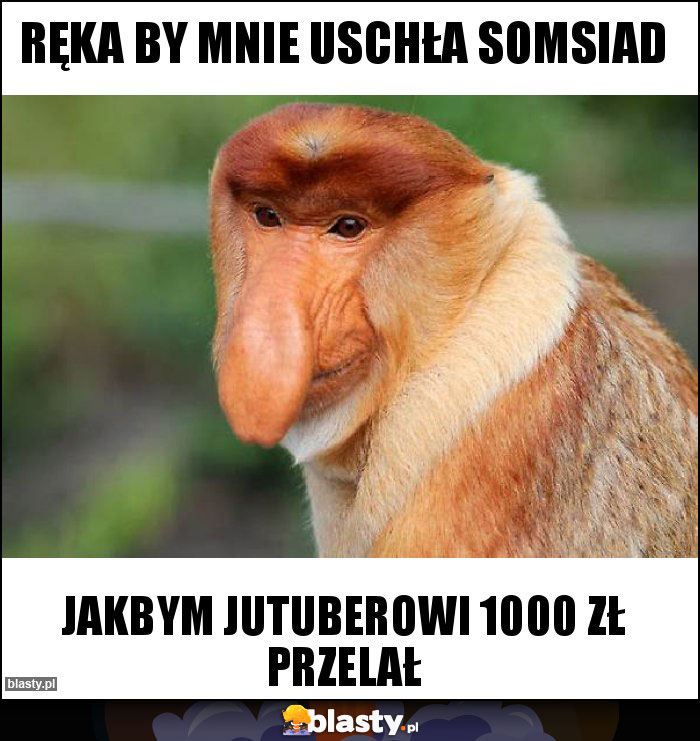 RĘKA BY MNIE USCHŁA SOMSIAD RĘKA BY MNIE USCHŁA SOMSIAD