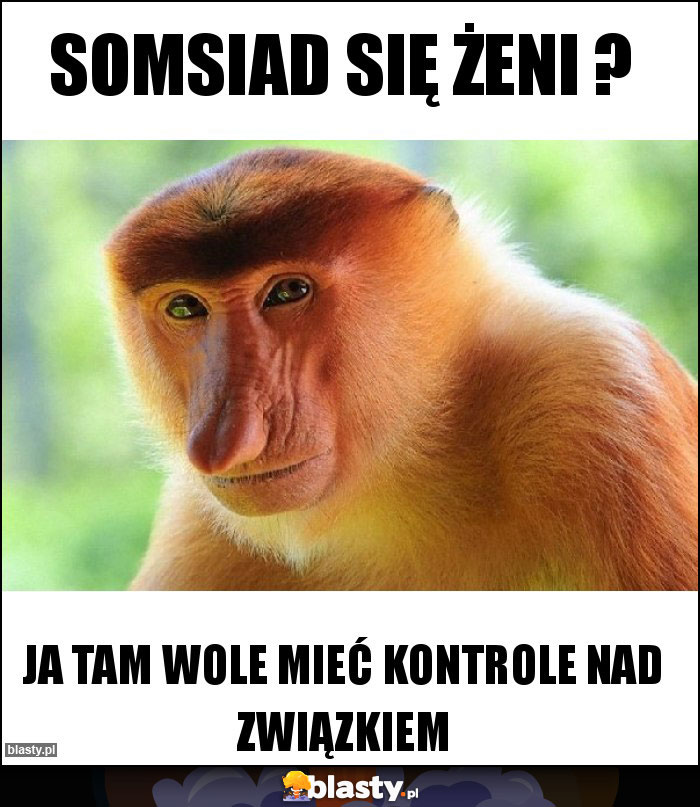 Somsiad się żeni ?