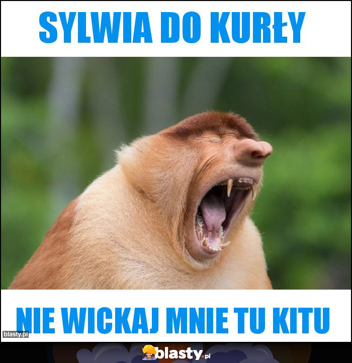 Sylwia do kurły Sylwia do kurły