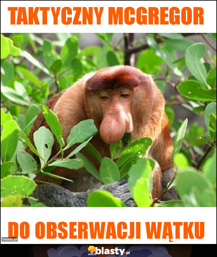 Taktyczny mcgregor Taktyczny mcgregor