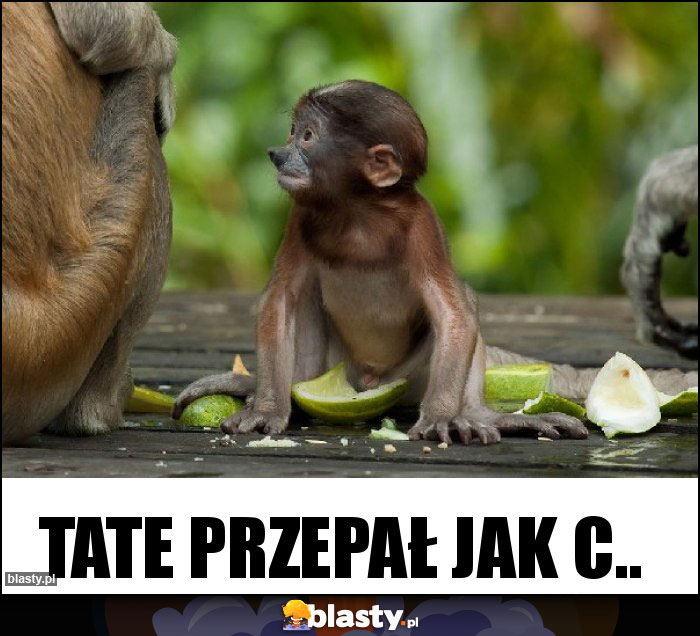 Tate przepał jak c.. Tate przepał jak c..