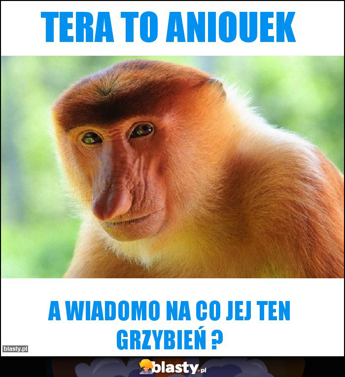 Tera to aniouek Tera to aniouek