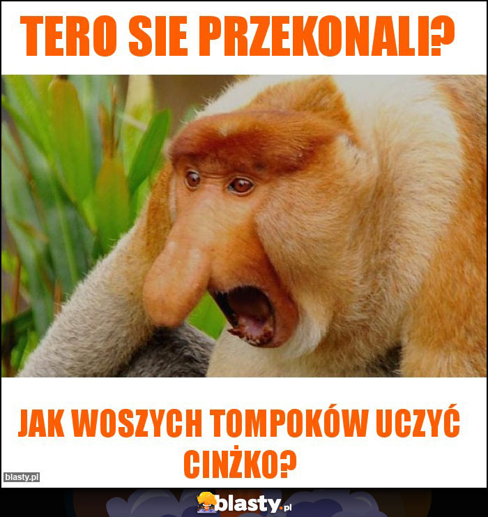 tero sie przekonali? tero sie przekonali?