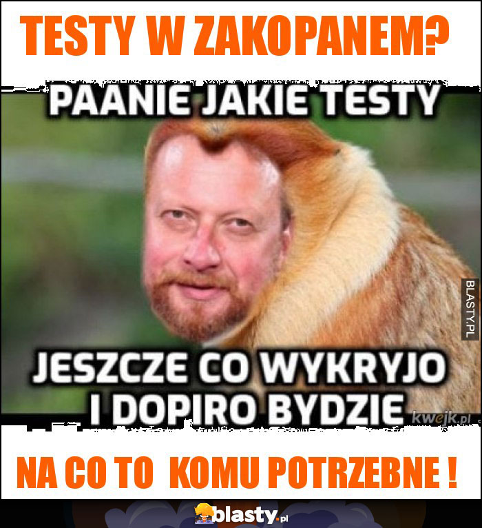testy w zakopanem? testy w zakopanem?