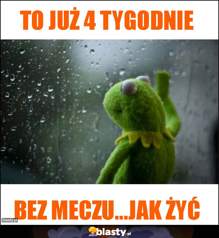 To już 4 tygodnie To już 4 tygodnie
