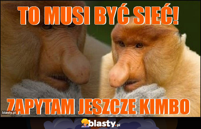 To musi być sieć!