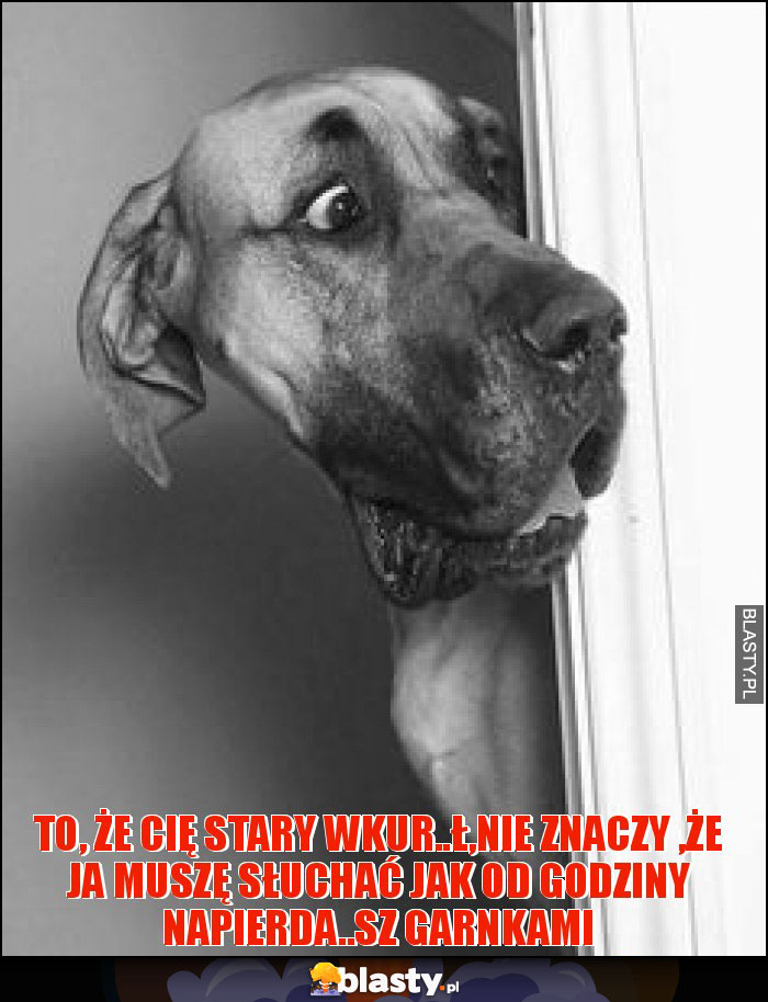 to, że cię stary wkur..ł,nie znaczy ,że ja muszę słuchać jak od godziny napierda..sz garnkami to, że cię stary wkur..ł,nie znaczy ,że ja muszę słuchać jak od godziny napierda..sz garnkami