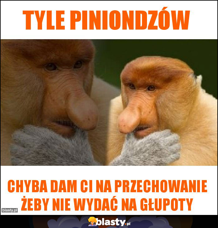 tyle piniondzów tyle piniondzów