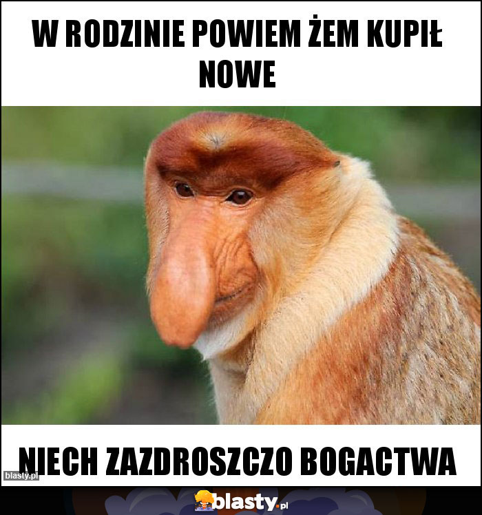 W rodzinie powiem żem kupił nowe W rodzinie powiem żem kupił nowe