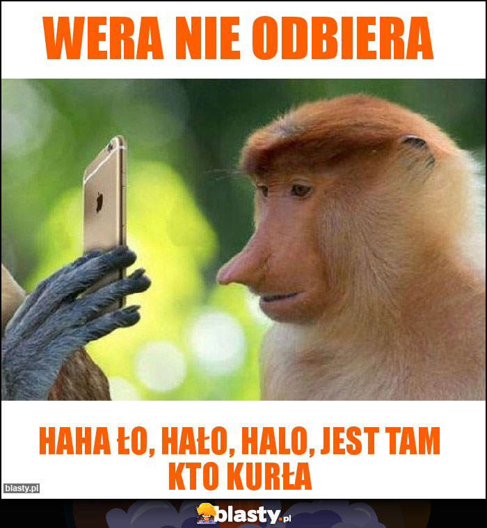 Wera nie odbiera Wera nie odbiera