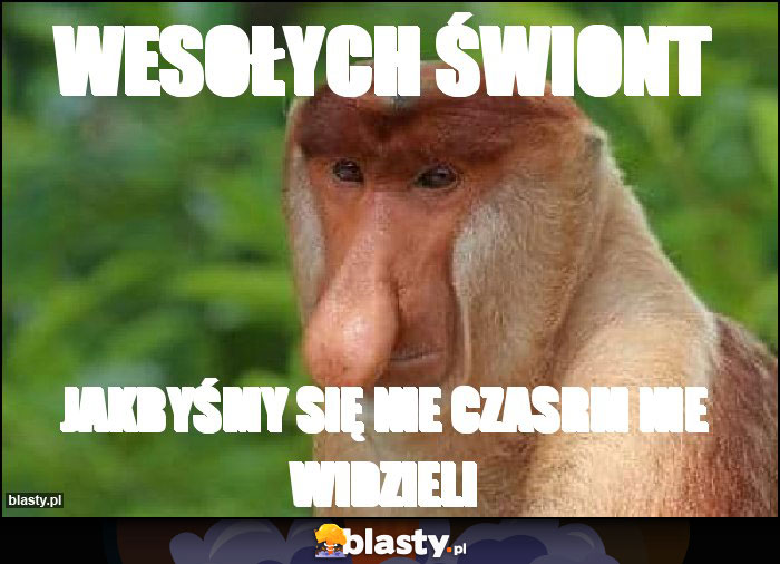 Wesołych świont Wesołych świont