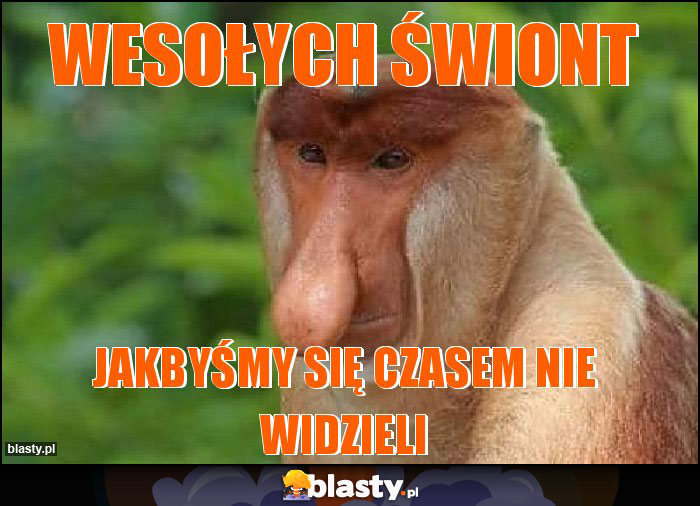 WESOŁYCH ŚWIONT WESOŁYCH ŚWIONT