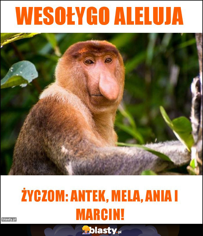 Wesołygo Aleluja Wesołygo Aleluja