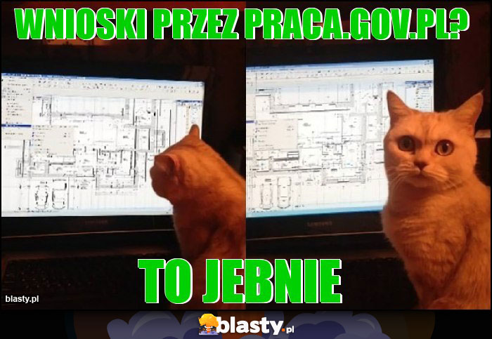 Wnioski przez praca.gov.pl? Wnioski przez praca.gov.pl?