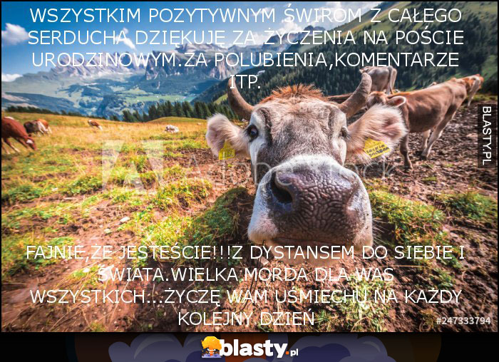 wszystkim pozytywnym świrom z całego serducha dziękuję za życzenia na poście urodzinowym.Za polubienia,komentarze itp. wszystkim pozytywnym świrom z całego serducha dziękuję za życzenia na poście urodzinowym.Za polubienia,komentarze itp.
