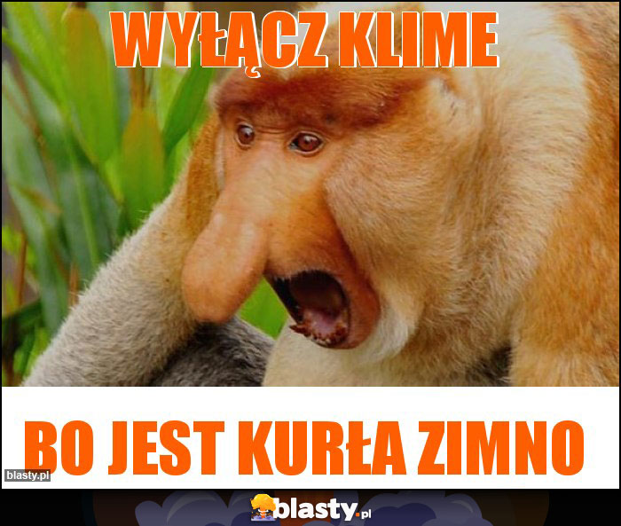 WYŁĄCZ KLIME WYŁĄCZ KLIME
