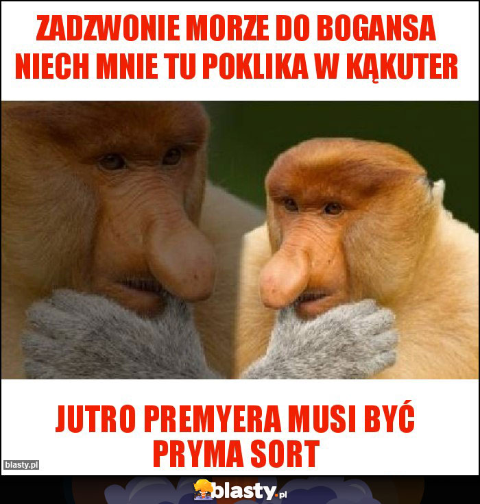 Zadzwonie morze do bogansa niech mnie tu poklika w kąkuter Zadzwonie morze do bogansa niech mnie tu poklika w kąkuter