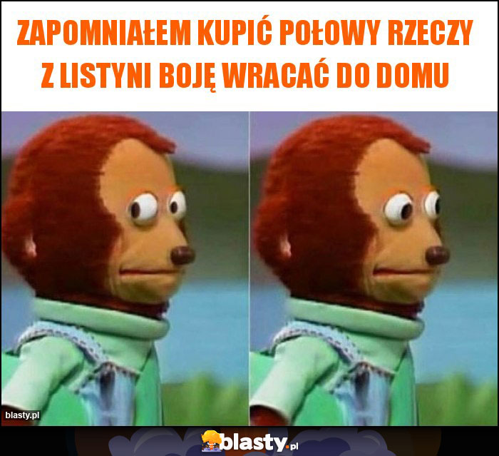 Zapomniałem kupić połowy rzeczy z listyni boję wracać do domu Zapomniałem kupić połowy rzeczy z listyni boję wracać do domu