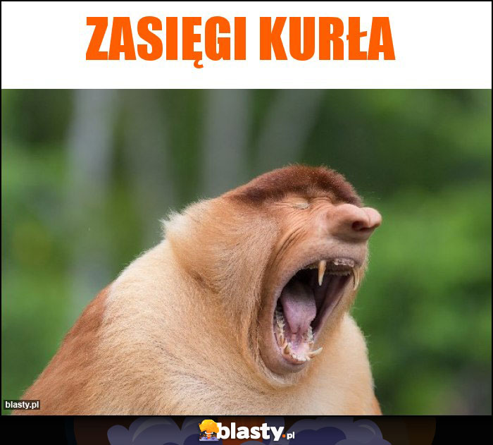 ZASIĘGI KURŁA ZASIĘGI KURŁA