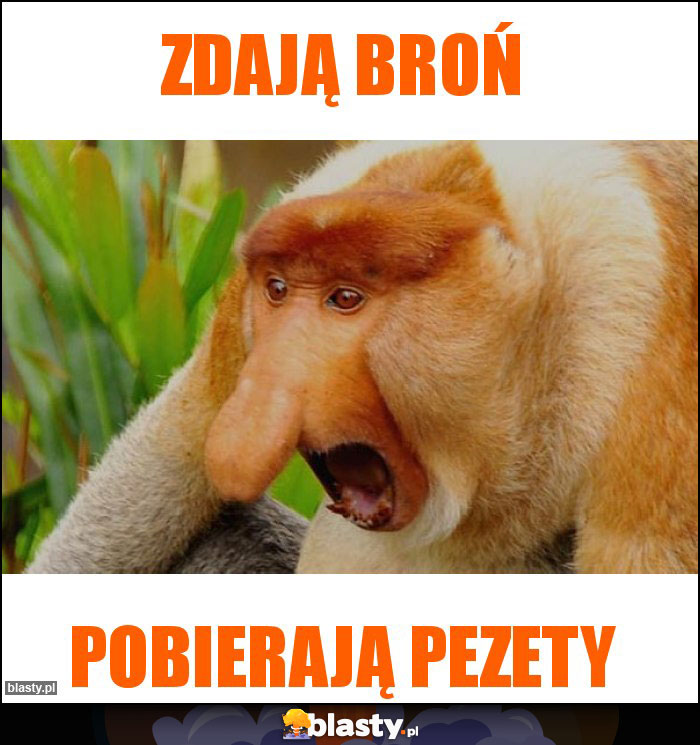 Zdają broń Zdają broń