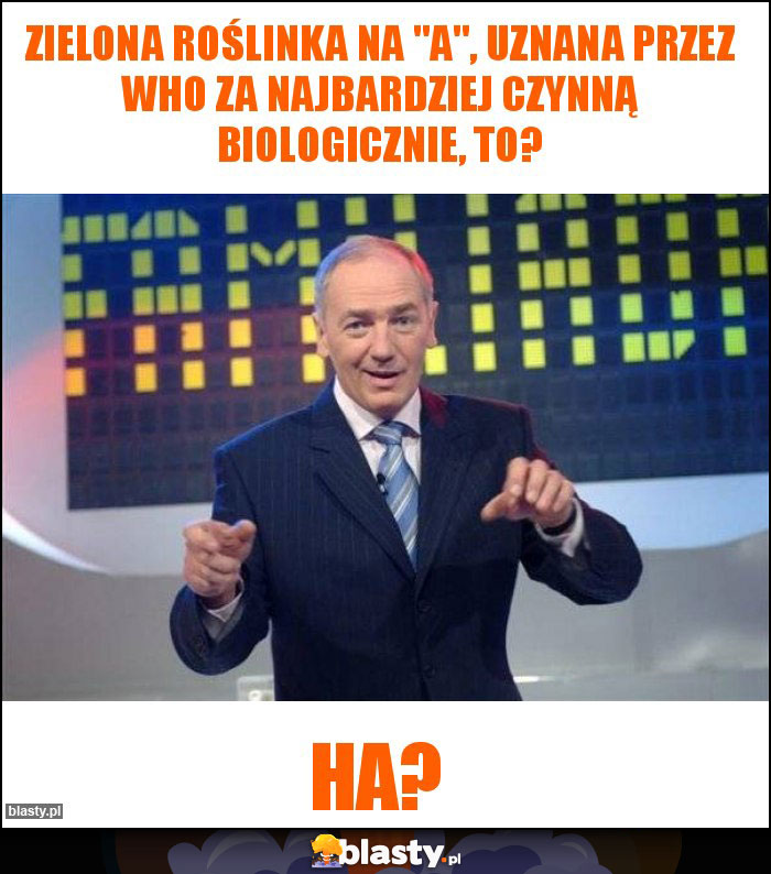 Zielona roślinka na Zielona roślinka na