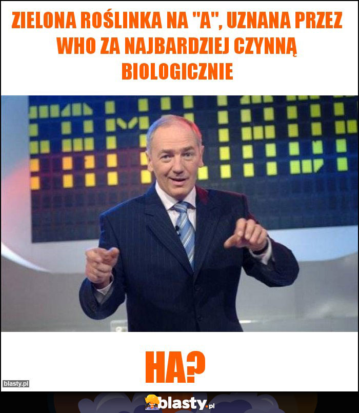 ZIELONA ROŚLINKA NA ZIELONA ROŚLINKA NA