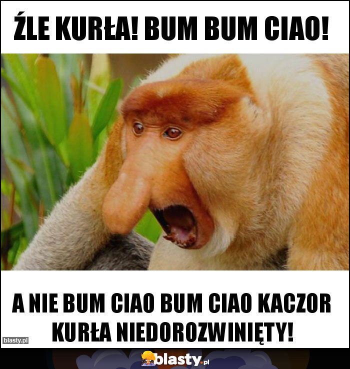 ŹLE Kurła! Bum bum ciao! ŹLE Kurła! Bum bum ciao!