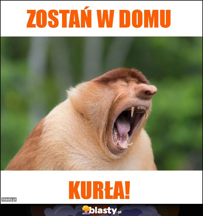 Zostań w domu