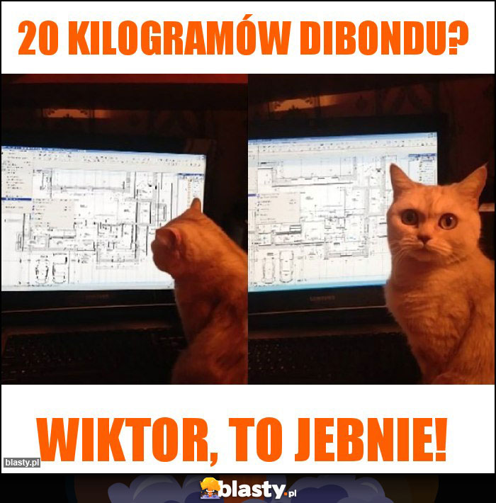 20 kilogramów dibondu? 20 kilogramów dibondu?