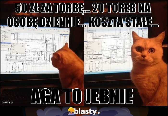 50 zł za torbę... 20 toreb na osobę dziennie... Koszta stałe... 50 zł za torbę... 20 toreb na osobę dziennie... Koszta stałe...