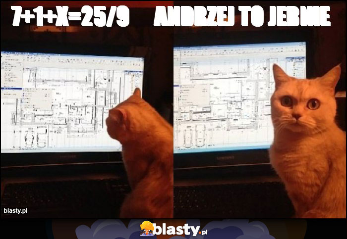 7+1+X=25/9 Andrzej to jebnie 7+1+X=25/9 Andrzej to jebnie