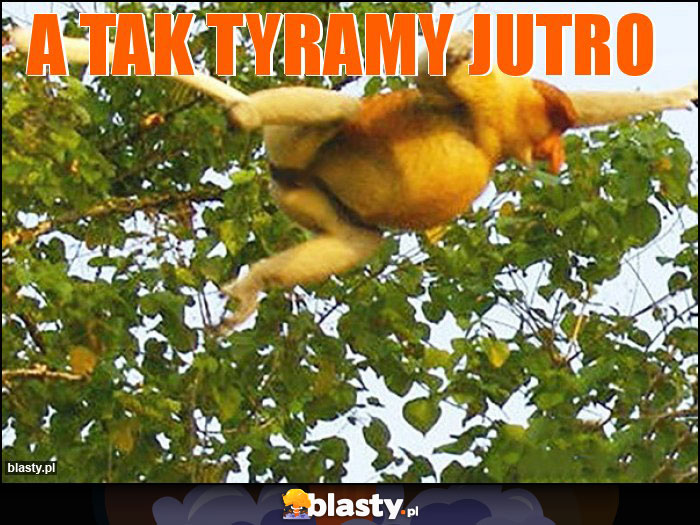 A tak tyramy jutro A tak tyramy jutro