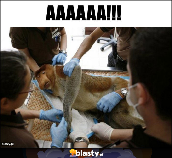 AAAAAA!!!