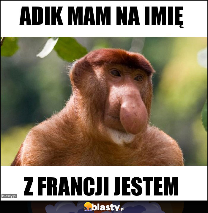 Adik mam na imię Adik mam na imię