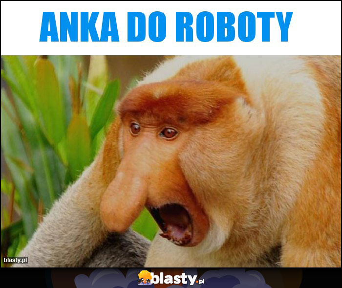 Anka do roboty Anka do roboty