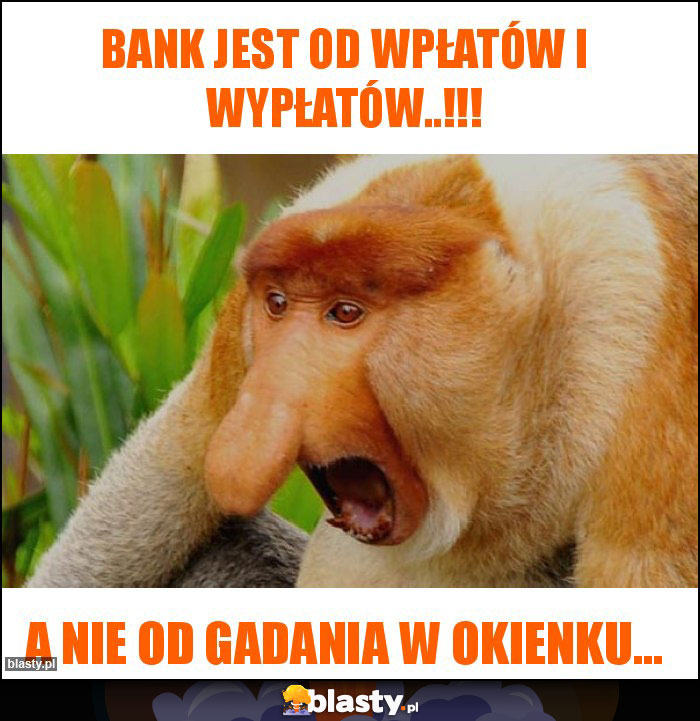 Bank jest od wpłatów i wypłatów..!!! Bank jest od wpłatów i wypłatów..!!!
