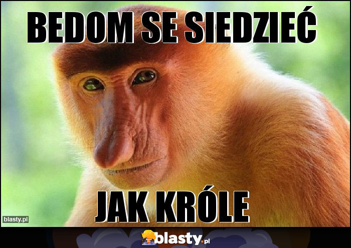 Bedom se siedzieć Bedom se siedzieć