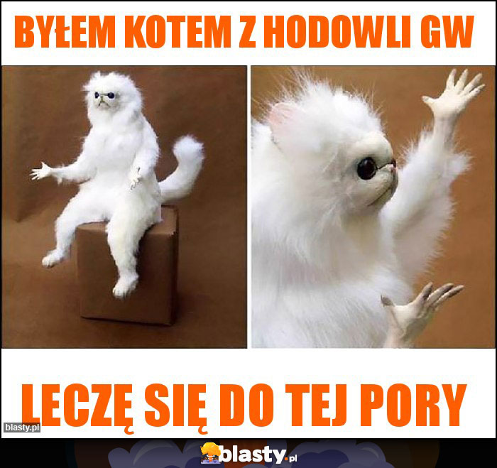 Byłem kotem z hodowli Gw Byłem kotem z hodowli Gw