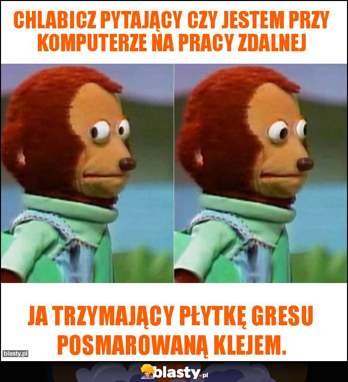 Chlabicz pytający czy jestem przy komputerze na pracy zdalnej