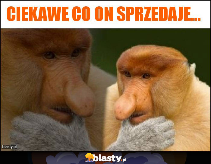 Ciekawe co on sprzedaje... Ciekawe co on sprzedaje...