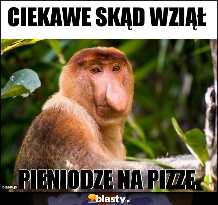 Ciekawe skąd wziął Ciekawe skąd wziął