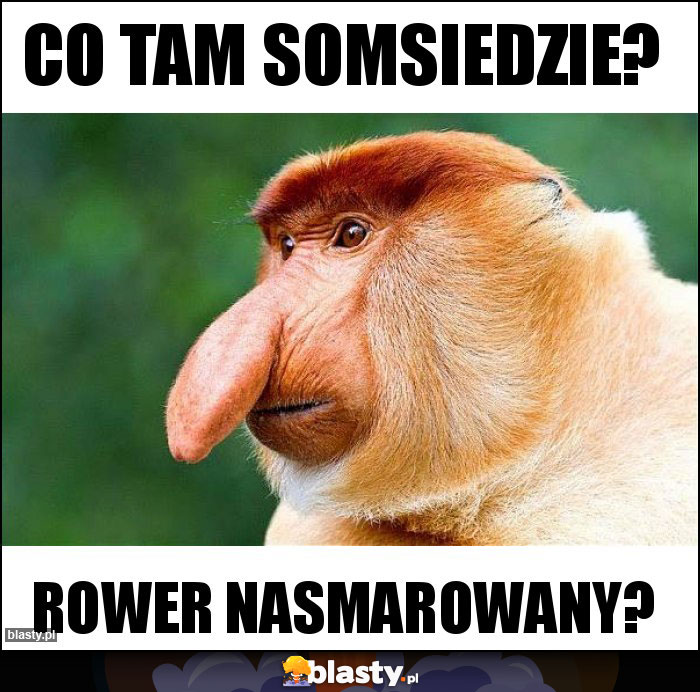 Co tam somsiedzie? Co tam somsiedzie?