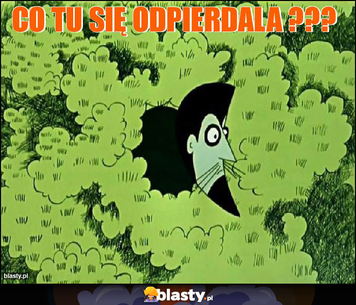 Co tu się odpierdala ??? Co tu się odpierdala ???