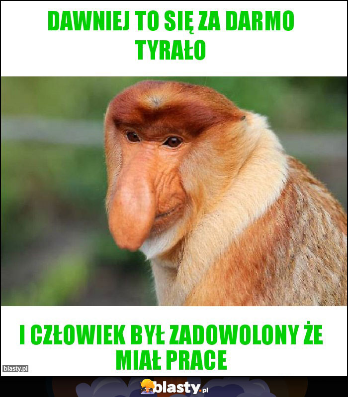 Dawniej to się za darmo tyrało Dawniej to się za darmo tyrało