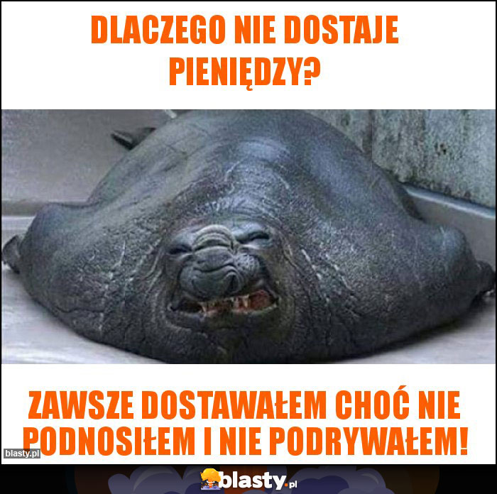 Dlaczego nie dostaje pieniędzy? Dlaczego nie dostaje pieniędzy?